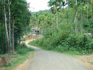 Kerala 068