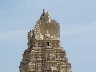 Mysore (113)