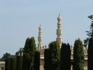 Mysore (124)