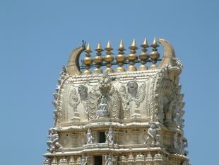 Mysore (64)