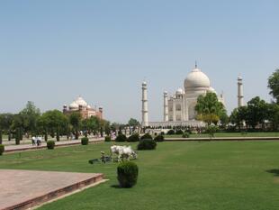 agra (26)