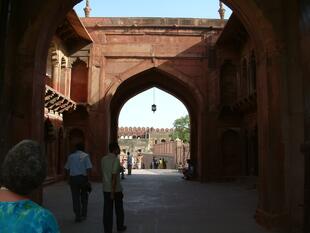 agra (321)