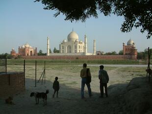 agra (382)