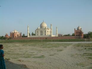 agra (383)