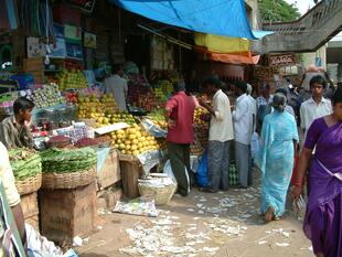 bangalore fort 002