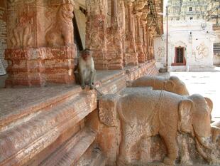 hampi (174)