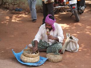 hampi (185)