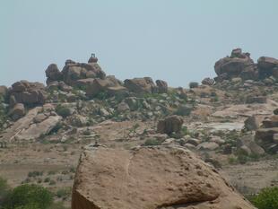 hampi (537)