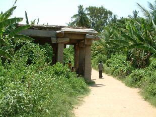 hampi (588)