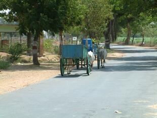 hampi (739)