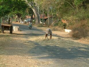 Mysore 3-14-05 296