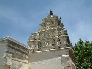 Mysore (61)